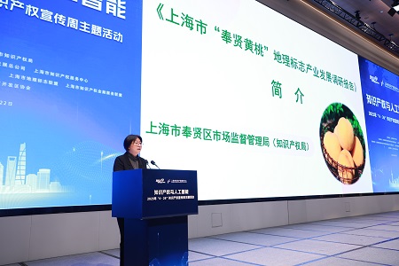 4.奉贤黄桃报告.JPG
